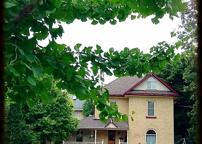 Tranquil Days Guest House - A Truly Exceptional Bed And Breakfast