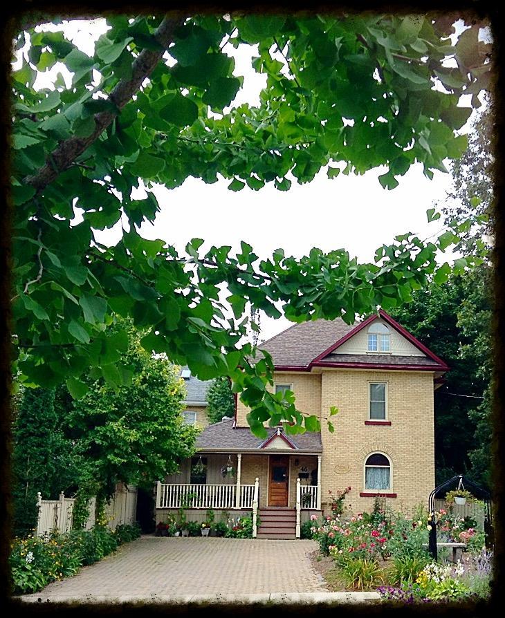 Tranquil Days - A Truly Exceptional Bed & Breakfast